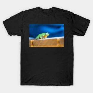 Squirrel Treefrog 2 T-Shirt